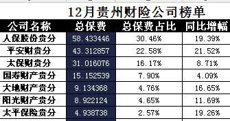 贵州省2017年前12月财险公司总保费排行榜.xls