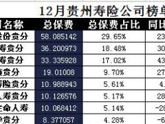 贵州省2017年前12月寿险公司总保费排行榜.xls