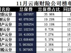 云南省2017年前11月财险公司总保费排行榜.xls