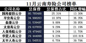 云南省2017年前11月寿险公司总保费排行榜.xls