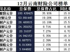 云南省2017年前12月财险公司总保费排行榜.xls