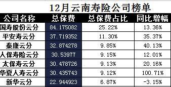 云南省2017年前12月寿险公司总保费排行榜.xls