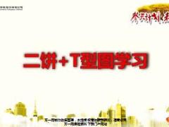 国寿福二饼加T型图学习好处示范演练19页.ppt
