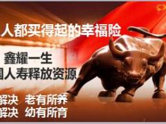 中国人寿鑫耀一生组合产品学习16页.ppt