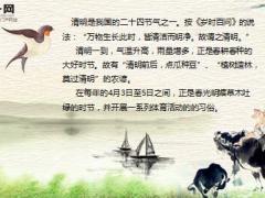 清明节假日经营早会专题12页.ppt