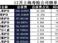 上海2017年前12月寿险公司总保费排行榜.xls