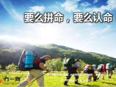 每日鸡汤要么拼命要么认命.rar