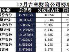 吉林省2017年前12月财险公司总保费排行榜.xls