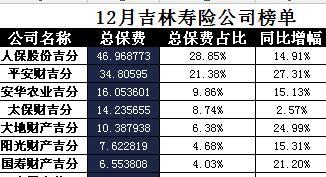 吉林省2017年前12月寿险公司总保费排行榜.xls