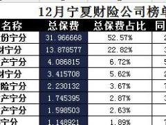 宁夏2017年前12月财险公司总保费排行榜.xls