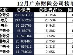 广东省2017年前12月财险公司总保费排行榜.xls