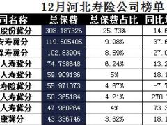 河北省2017年前12月寿险公司总保费排行榜.xls