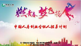 创业合伙人招募计划创说会主讲国寿版35页.ppt