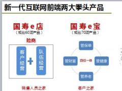 国寿e店e宝讲解与演示62页.ppt