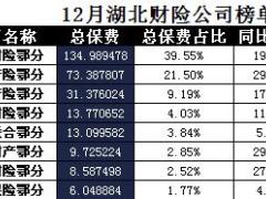 湖北省2017年前12月财险公司总保费排行榜.xls