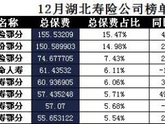 湖北省2017年前12月寿险公司总保费排行榜.xls
