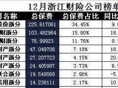 浙江省2017年前12月财险公司总保费排行榜.xls