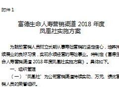 富德生命人寿营销渠道2018年度凤凰社政策方案10页.ppt