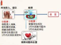 新华承保更快速理赔更轻松及两核通关卡.rar