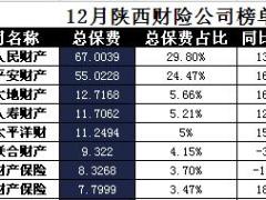 陕西省2017年前12月财险公司总保费排行榜.xls