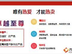 太平卓越至尊高效签单三部曲规划30页.ppt