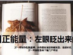 每日正能量左眼眨出来的书8页.ppt