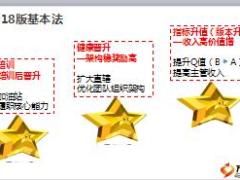 国寿2018版新基本法品管办法经营执行及规划示例26页.ppt