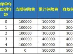 信泰千万传承C终身寿险自动计划书个人版简易版2页.xls