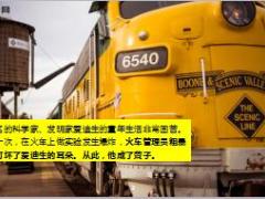 每日正能量135岁的爱迪生10页.ppt