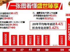 中国人寿盛世臻享组合案例解析12页.ppt