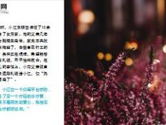 小伙新婚第二天查出白血病妻子失联17页.ppt