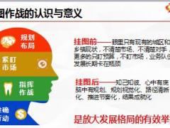 保险公司城区平台挂图作战要点解析67页.ppt