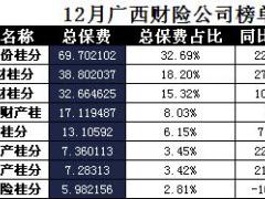 广西省2017年前12月财险公司总保费排行榜.xls