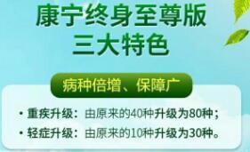 中国人寿康宁终身至尊海报.rar