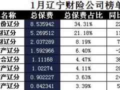 辽宁省2018年前1月财险公司总保费排行榜.xls