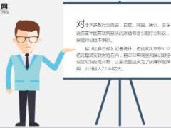 BATJ布局保险牌照拼图14页.ppt