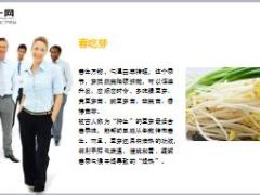 每日健康春吃芽夏吃瓜秋吃果冬吃根3分钟让你懂得养生吃法11页.ppt