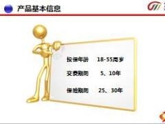 东吴人寿安行百万条款篇产品标识形态基本信息19页.ppt