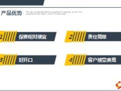 东吴人寿安行百万优势费率10页.ppt