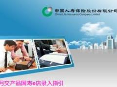 月交产品国寿e店录入指引5页.ppt