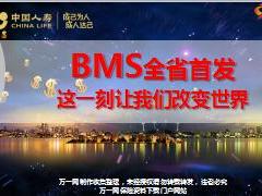 月缴销售模型BMS介绍做的原因方式推广计划国寿版74页.ppt