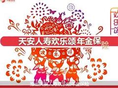 视频天安人寿欢乐颂产品介绍.rar