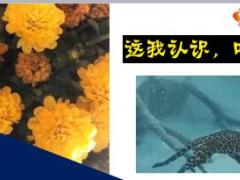 每日快乐早会18年4月27日使用12页.ppt