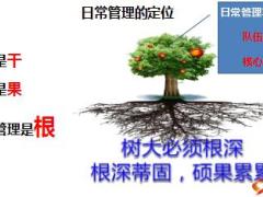 日常管理功能组运作内容举措目标要点71页.ppt
