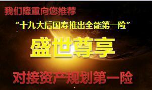 中国人寿盛世尊享新产品讲解案例演示附加养老社区43页.ppt