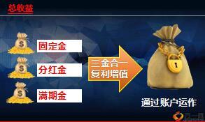 黄金会员主讲教案国寿广发盛世臻享73页.ppt