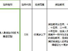 中国人寿集团老产品条款速查表2页.xls