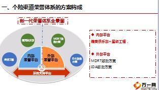 个险渠道荣誉体系推广方案18页.ppt