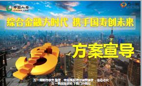 综合金融主管项目方案宣导国寿版35页.ppt
