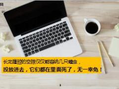每日正能量阴影是条纸龙7页.ppt